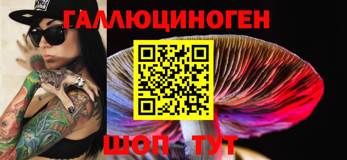Галлюциногенные грибы Psilocybe  Псилоцибиновые грибы прущие грибы  Вход с VPN  Верхняя Салда 