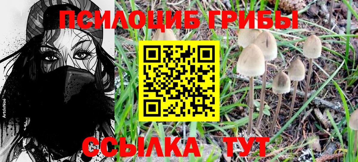 Галлюциногенные грибы MAGIC MUSHROOMS Верхняя Салда
